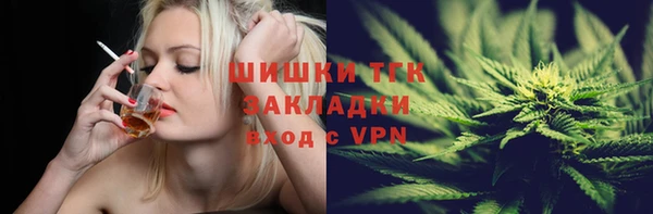 сатива Алзамай