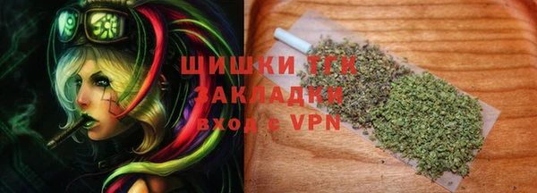 сатива Алзамай
