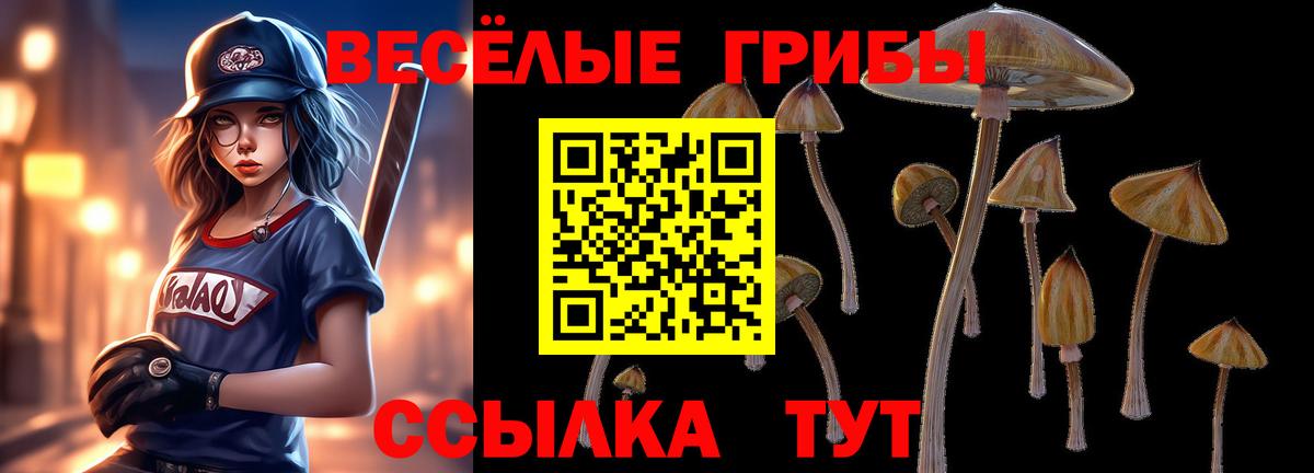 Галлюциногенные грибы Psilocybe Красноярск