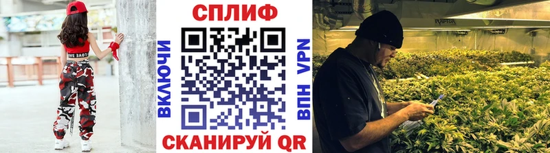 наркота  Красноярск  MEGA зеркало  Каннабис Amnesia 